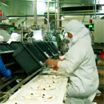 Dans les secrets des usines à pizzas industrielles
